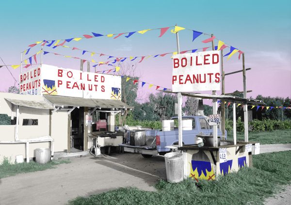 Boiled-Peanut-Stand